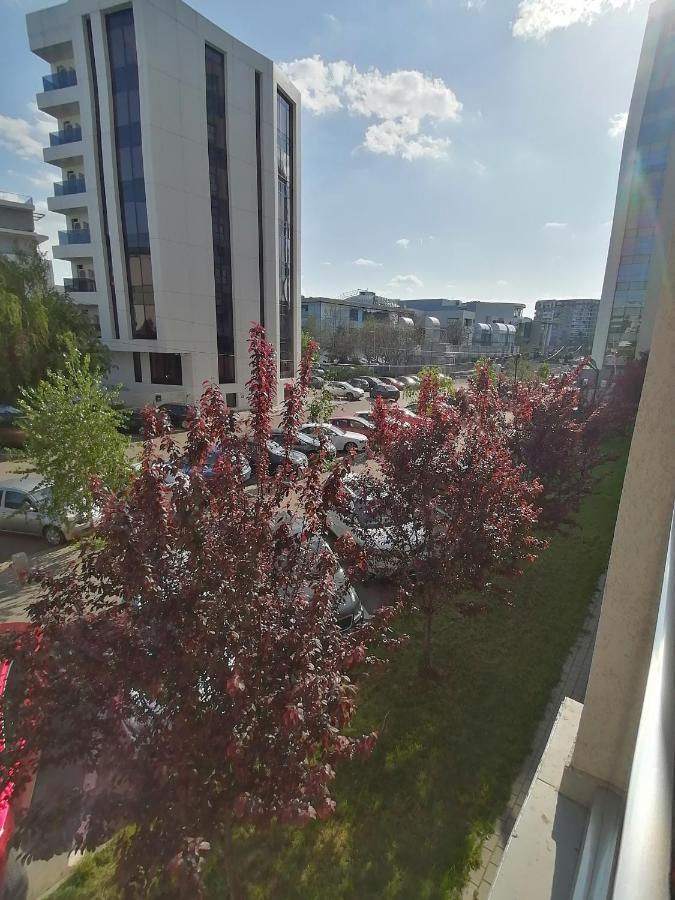 Baba Afiti Mall Plaza Bucuresti Appartement Buitenkant foto